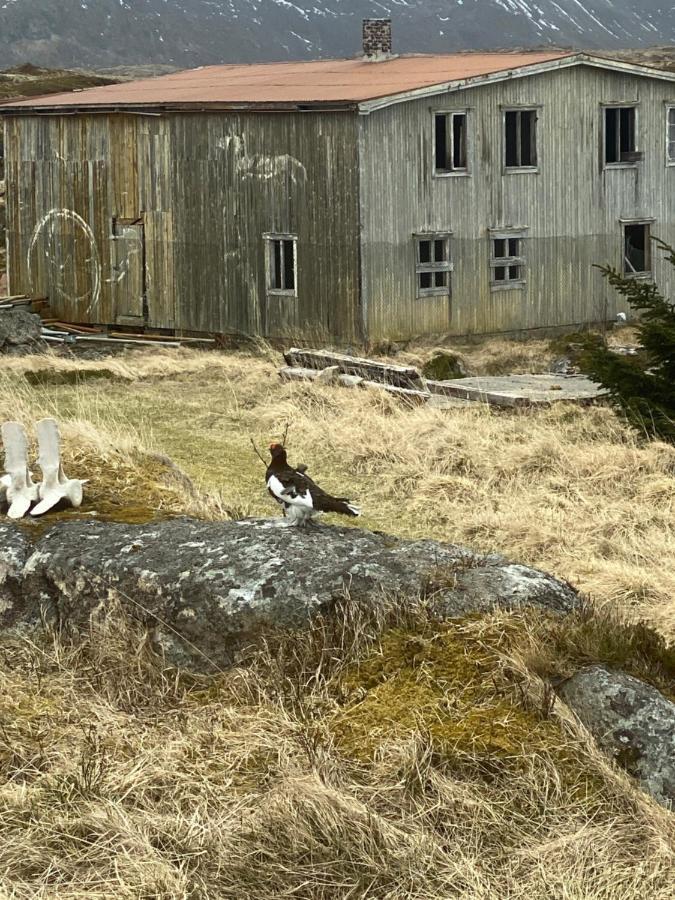 Villa Borgvag - A Unique Seafront Villa In The Heart Of Lofoten Bostad Exterior foto